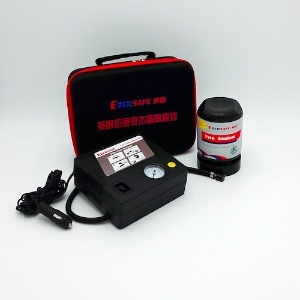 Eversafe Car Tyre Sealant Valve Through with Tire Inflator with Ce
