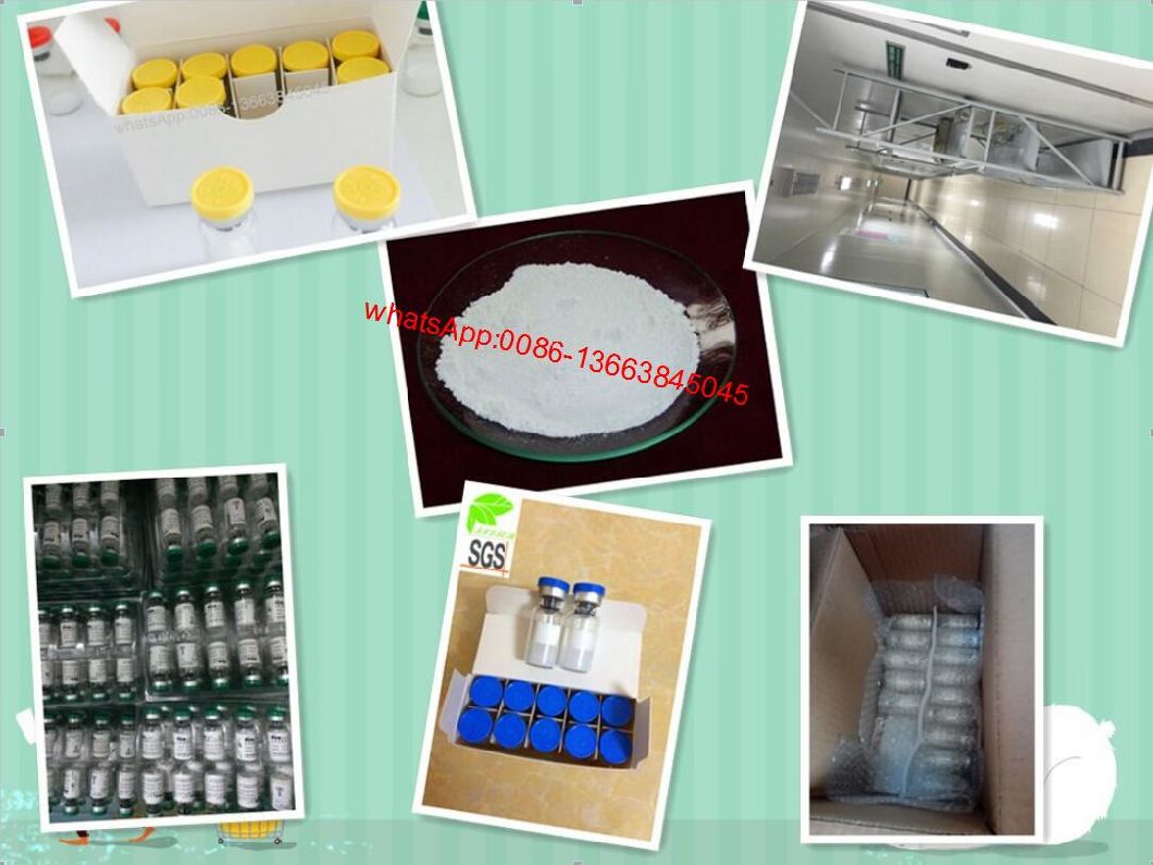 Top Quality Peptide Leuprorelin Acetate CAS: 74381-53-6