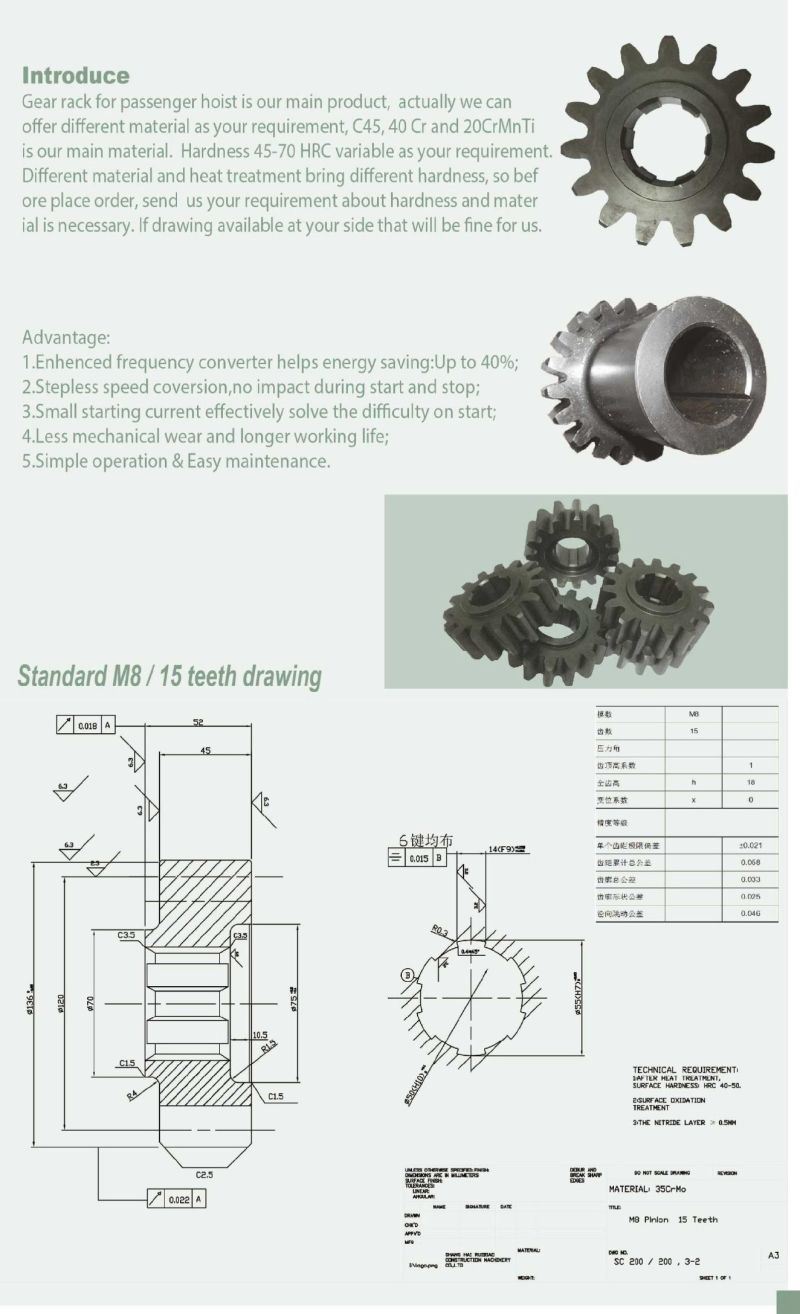 Hot Sale High Quality Driving Pinion for Building Gjj Hoist