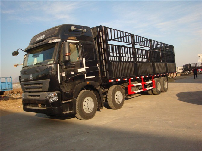 China HOWO A7 8X4 Cargo Truck Hot Sale