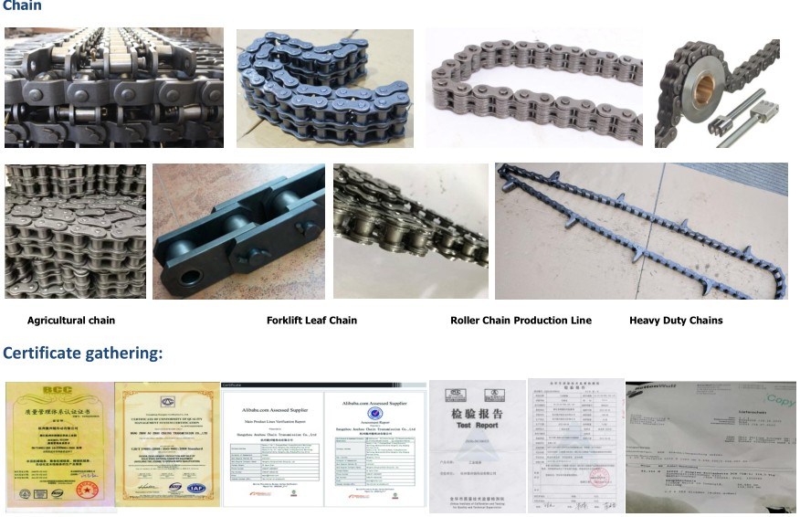 40 50 60 80 100 Industrial Roller Chain