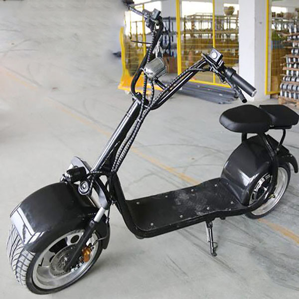 City Coco Harley 1000W/800W Adult Cheap Electric Vehicle