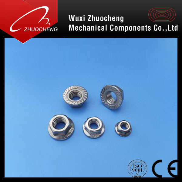 A2 A4 Stainless Steel Hex Flange Nut
