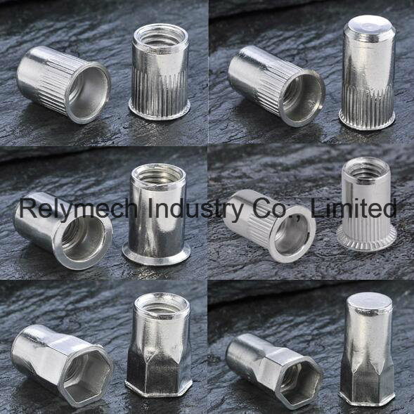 Stainless Steel/Carbon Steel Rivet Nut for Auto/Aviation/Railway