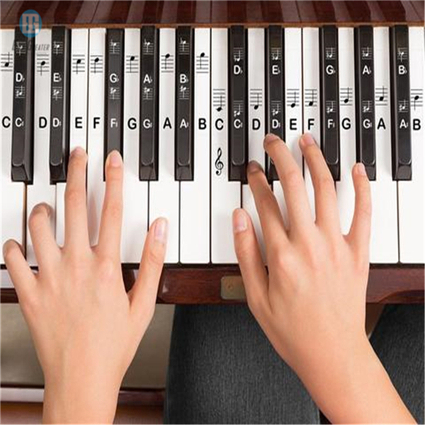 Plastic Removable Waterproof Piano and Keyboard Label Transparent Sticker