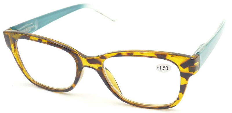 R17038 Wholesale Cheap Reading Glasses, Wenzhou Factory PC Reading Glass