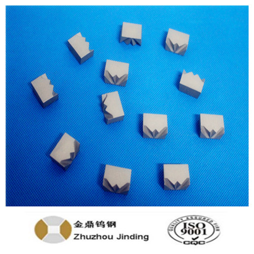 High Quality Tungsten Carbide Nail Mould