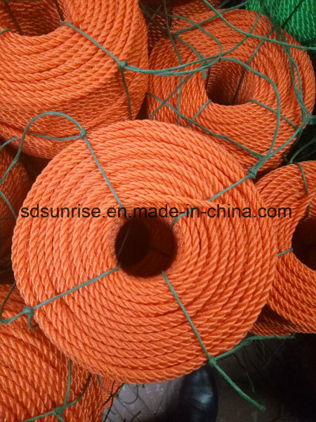 Hot Selling PE Rope and Twine with UV