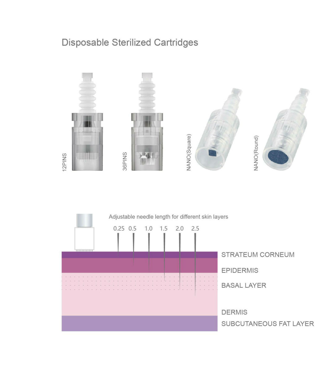 Rechargeable Dermapen Microneedle Mesotherapy Disposable Cartridge Nano Needles