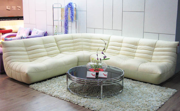 Modern Corner Sofa Genuine Leather Sofa (B-240B)