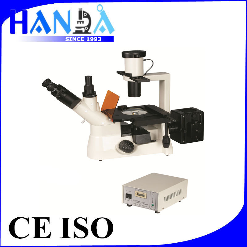 Handa Xyl-403y Epi Fluorescence Microscope Inverted Fluorescence Microscope