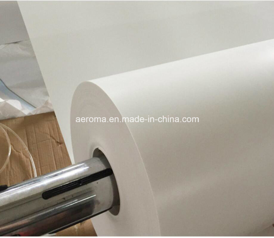 PP Polypropylene Belt Collecting Excrement Belt Chicken Raise Industry PP Tape