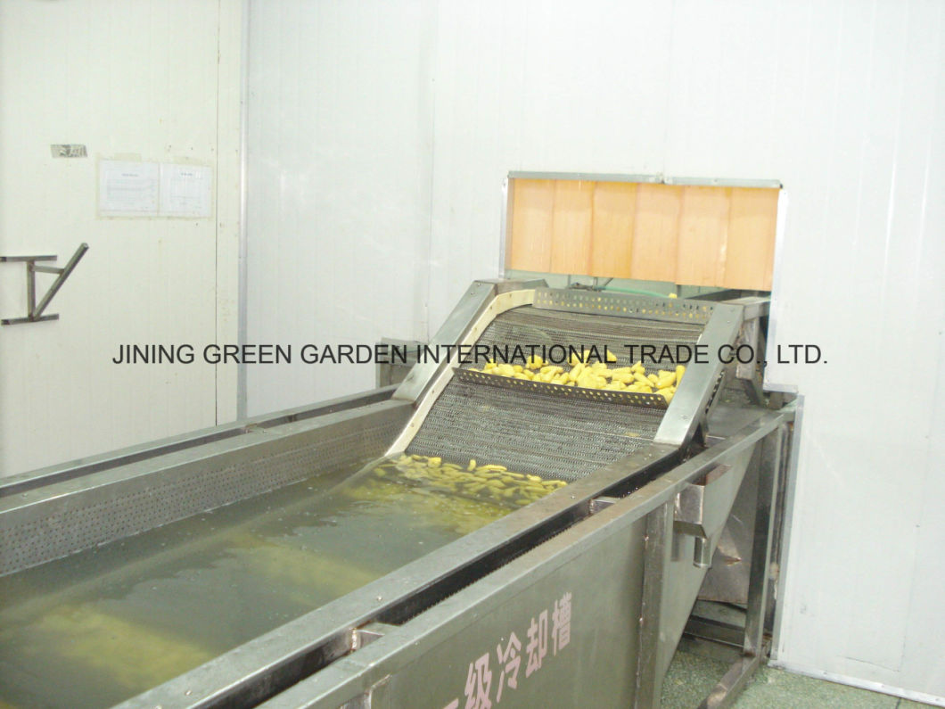 Wholesale Frozen Peeled Ginger/IQF Ginger