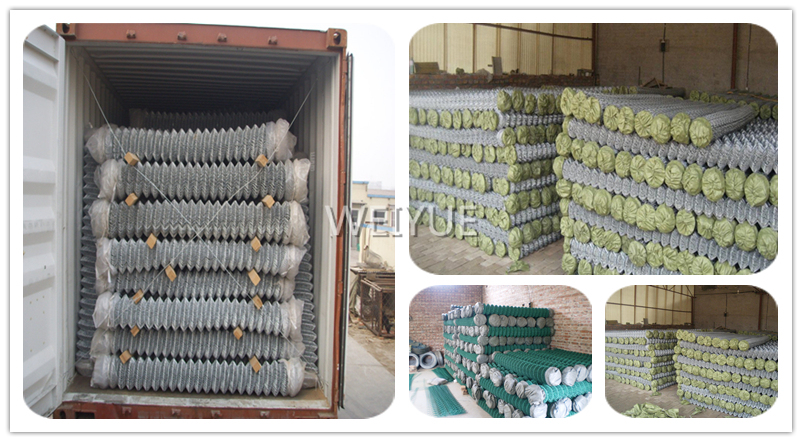 Reliable China Wholesale Metal Steel Wire Mesh Fence (WWMF)