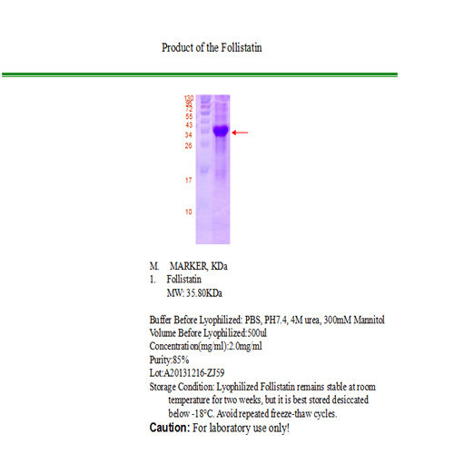 99% Prohormones Peptides Follistatin 315 Stimulating Hormone Inhibiting