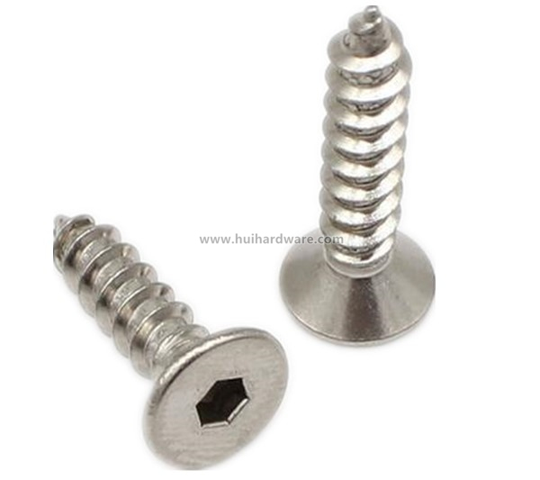 Stainless Steel Hex Socket Csk Head Security Screws