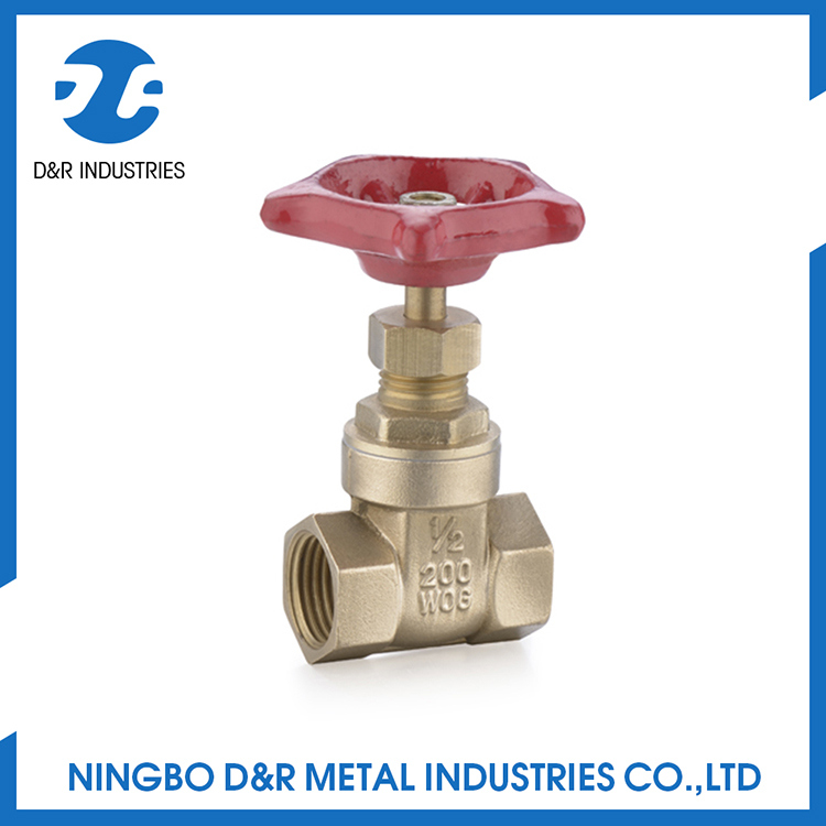 Dr 2006 Brass Non Rising Stem Gate Valve