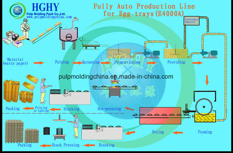 Hghy Paper Pulp Molding Avocado Tray Fruit Tray Egg Tray Equipment