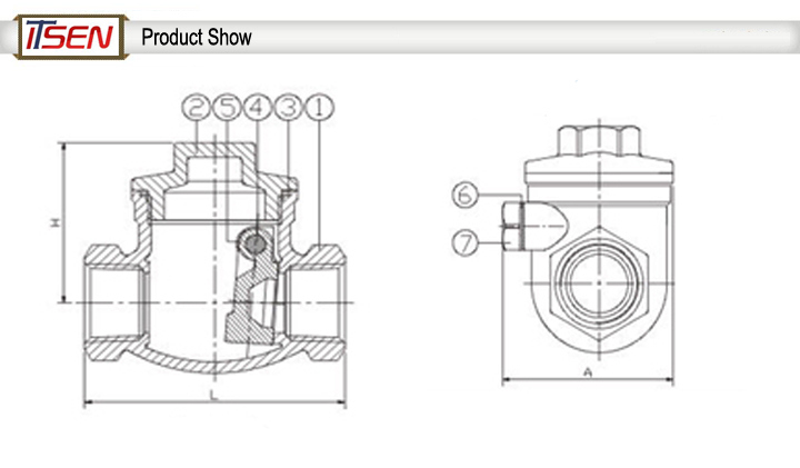 Ce Certificate Stainless Steel Pressure Reducing Swing Check Valve with Female Threaded End