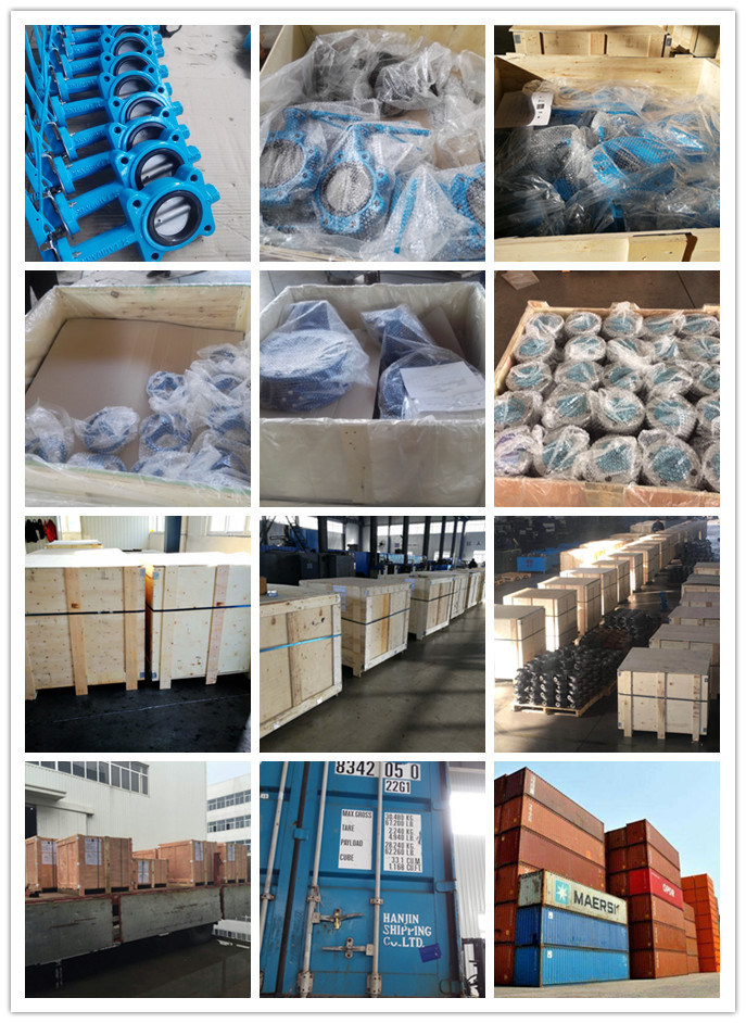 Lugged Type Rubber Lined Wafer Butterfly Valve