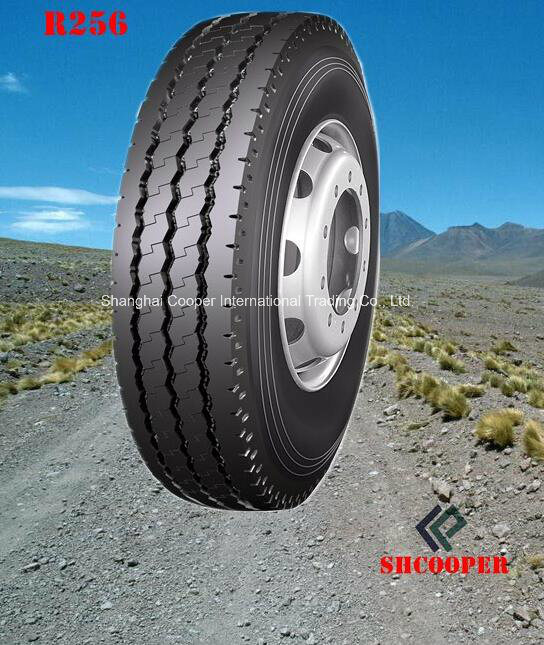 Roadlux Drive/Steer/Trailer Truck Tire (R256)