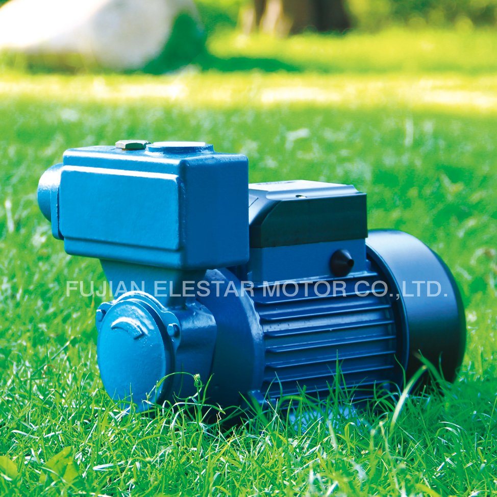 High Quality Elestar Electric Self-Priming Pressure Pump