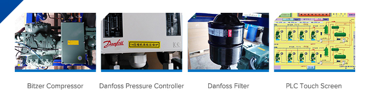 Multi Compressors Condensing Unit with Screw Compressors for IQF Freezer