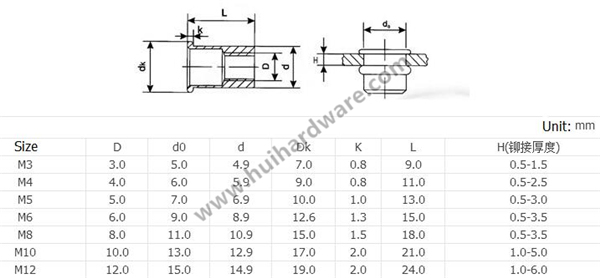 Furniture Internal Thread Flat Head Blind Nuts/Rivet Nuts