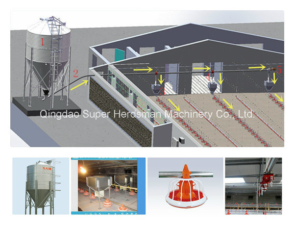 Automatic Poultry Control Shed Equipment for Broiler