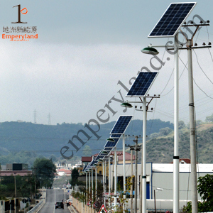 25W LED Solar Street Lighting with 6m Pole (DZS-06-25W)