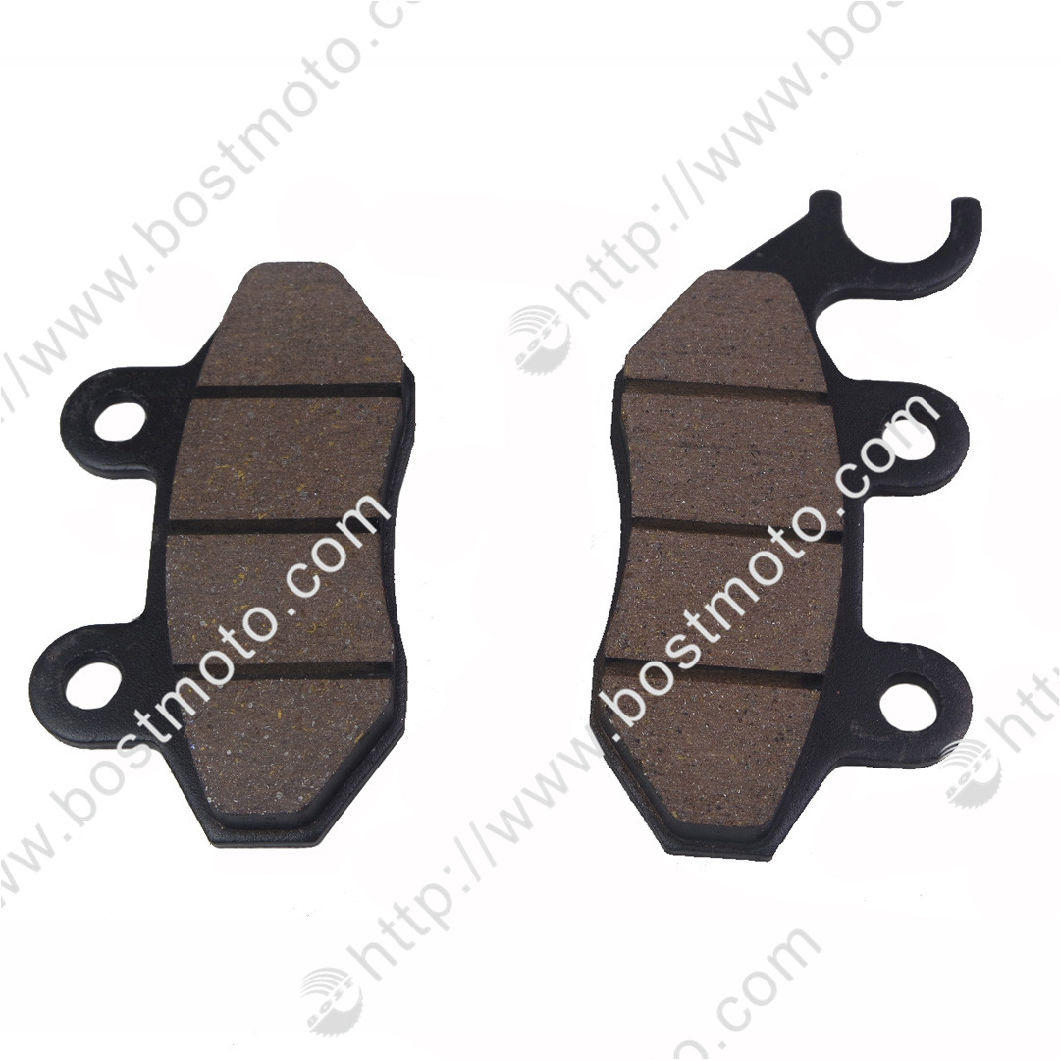 Motorcycle Front Wheel Brake Disc/Pad for Motorcycles