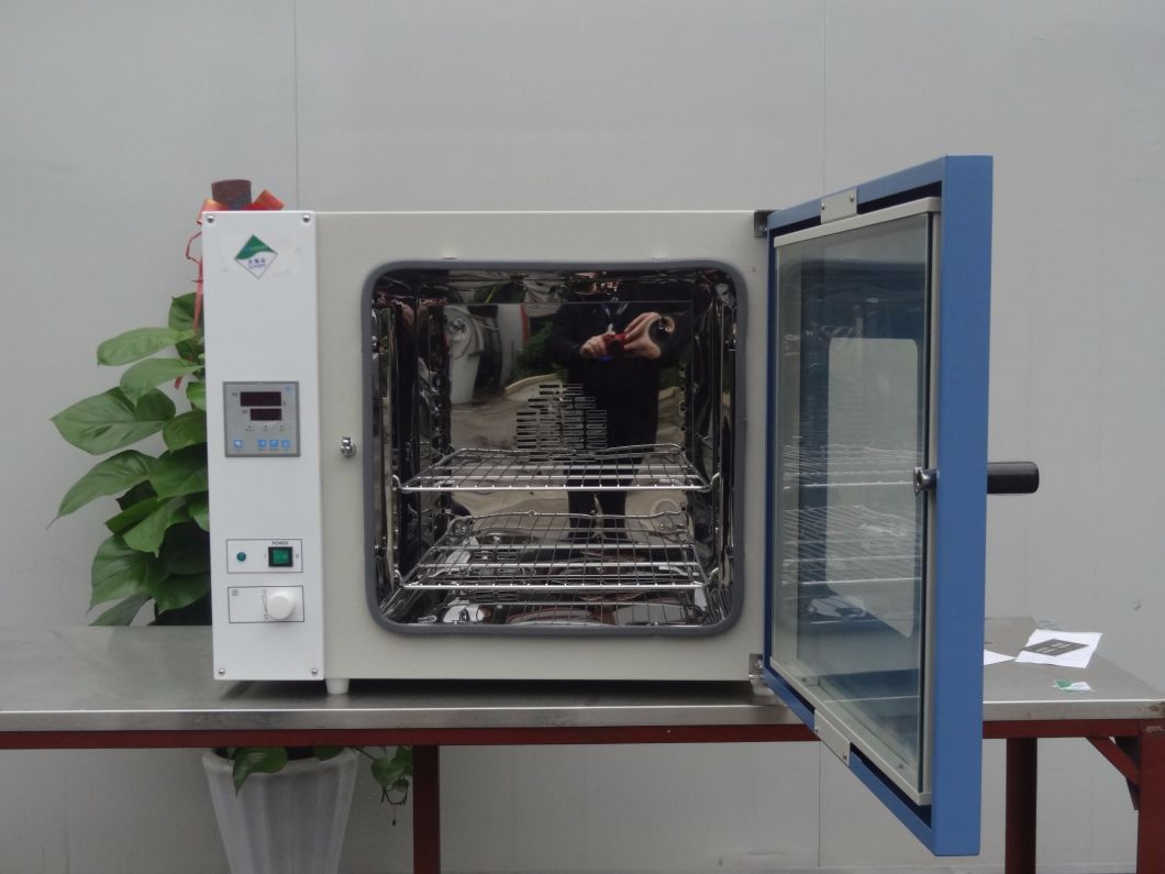 Electronic Carbonsteel Lab Vacuum Drying Ovens