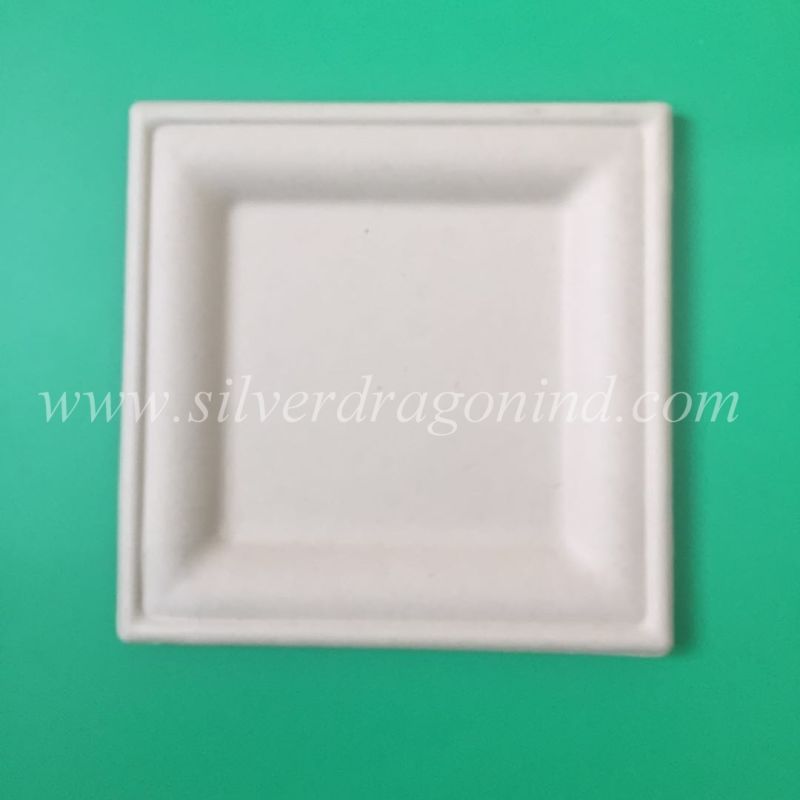 Sanitary Biodegradable Sugarcane Bagasse Paper Tableware