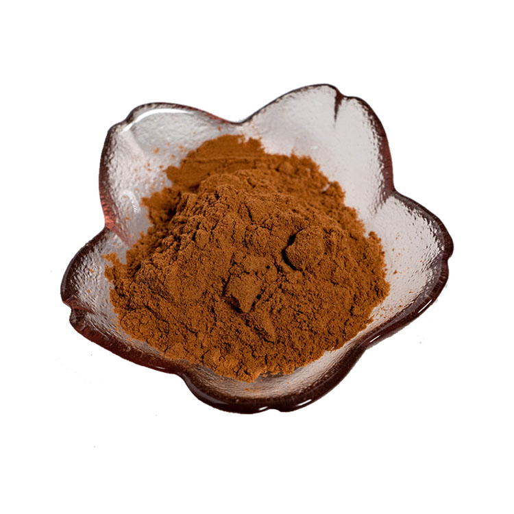 Poudre de salidroside Salidroside Powder