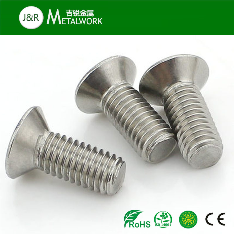 Stainless Steel Philip Countersunk Csk Head Machine Screw (SS304 SS316)