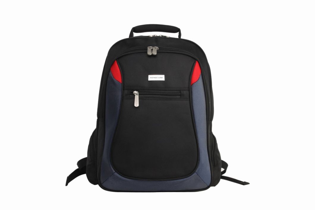 Backpack Laptop Computer Notebook Carry Business Fuction Classic Bag