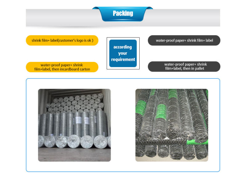 Wire Mesh Netting Used in Construction/Hot Dipped Galvanized Hexagonal Wire Netting