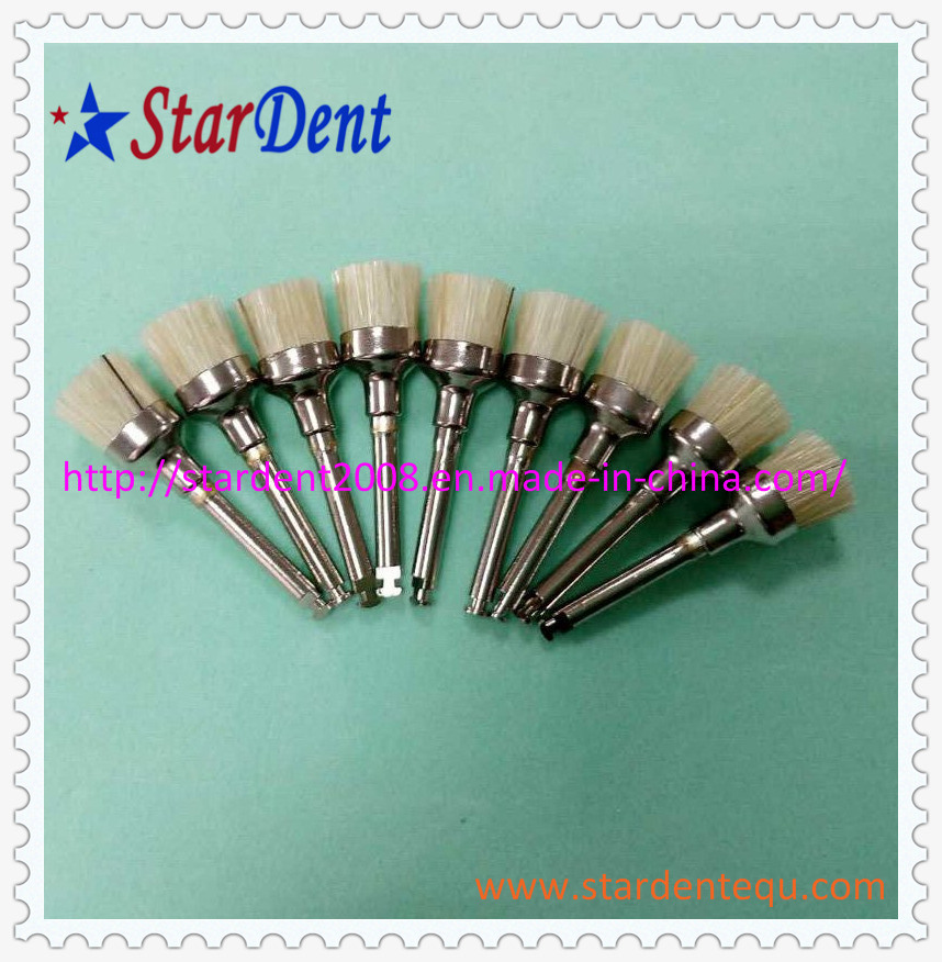 Disposable Prophy Brushes Factory of Dental Hospital Medical Lab Surgical Diagnostic Equipment