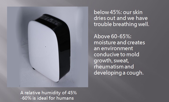12L Air Dehumidifier Drying Machine for Home Dehmidifier