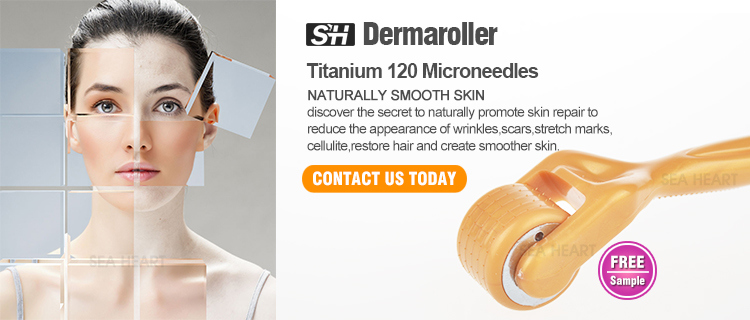 Factory Wholesale Titanium / Stainless Steel 120 Microneedles Derma Skin Roller