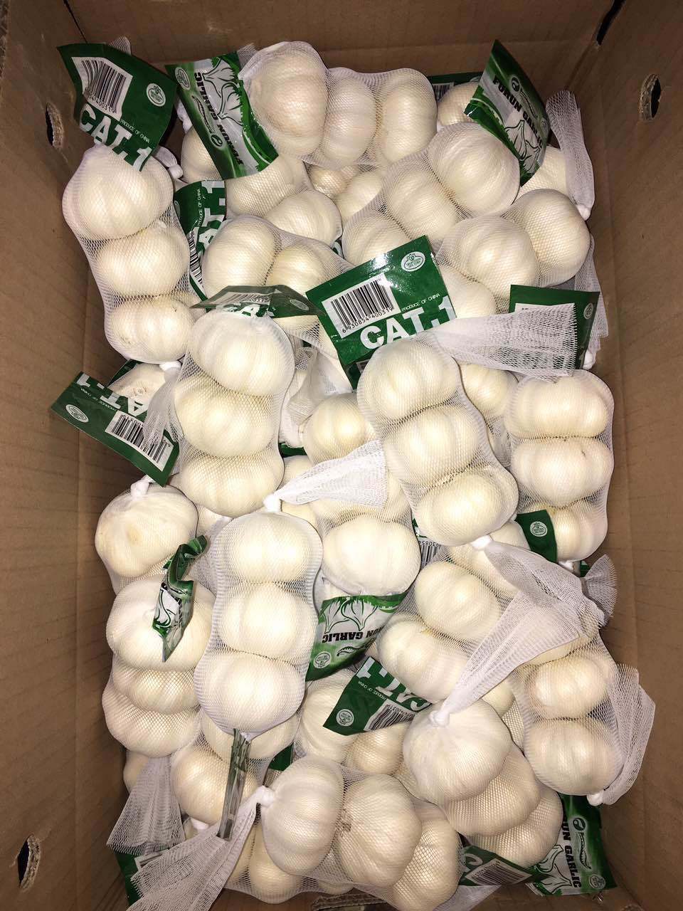 New Crop Chinese Fresh Pure White Garlic