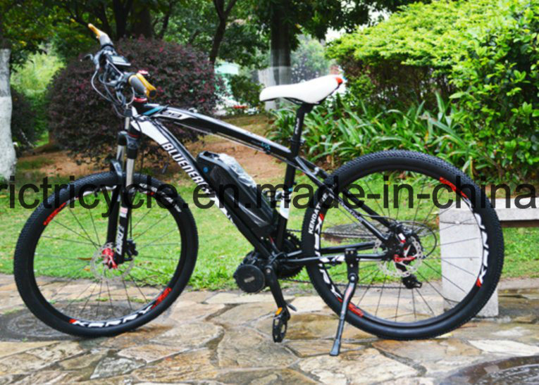 Auto Rickshaw Three Wheeler 48V500W E-Bike Accessories Parts for Sale