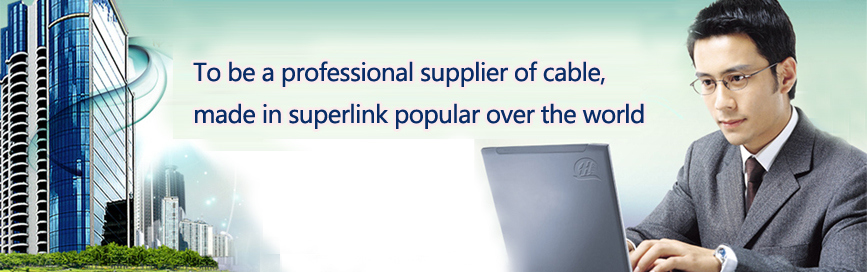 Superlink Cat 6 305m Copper SFTP Networking Cable