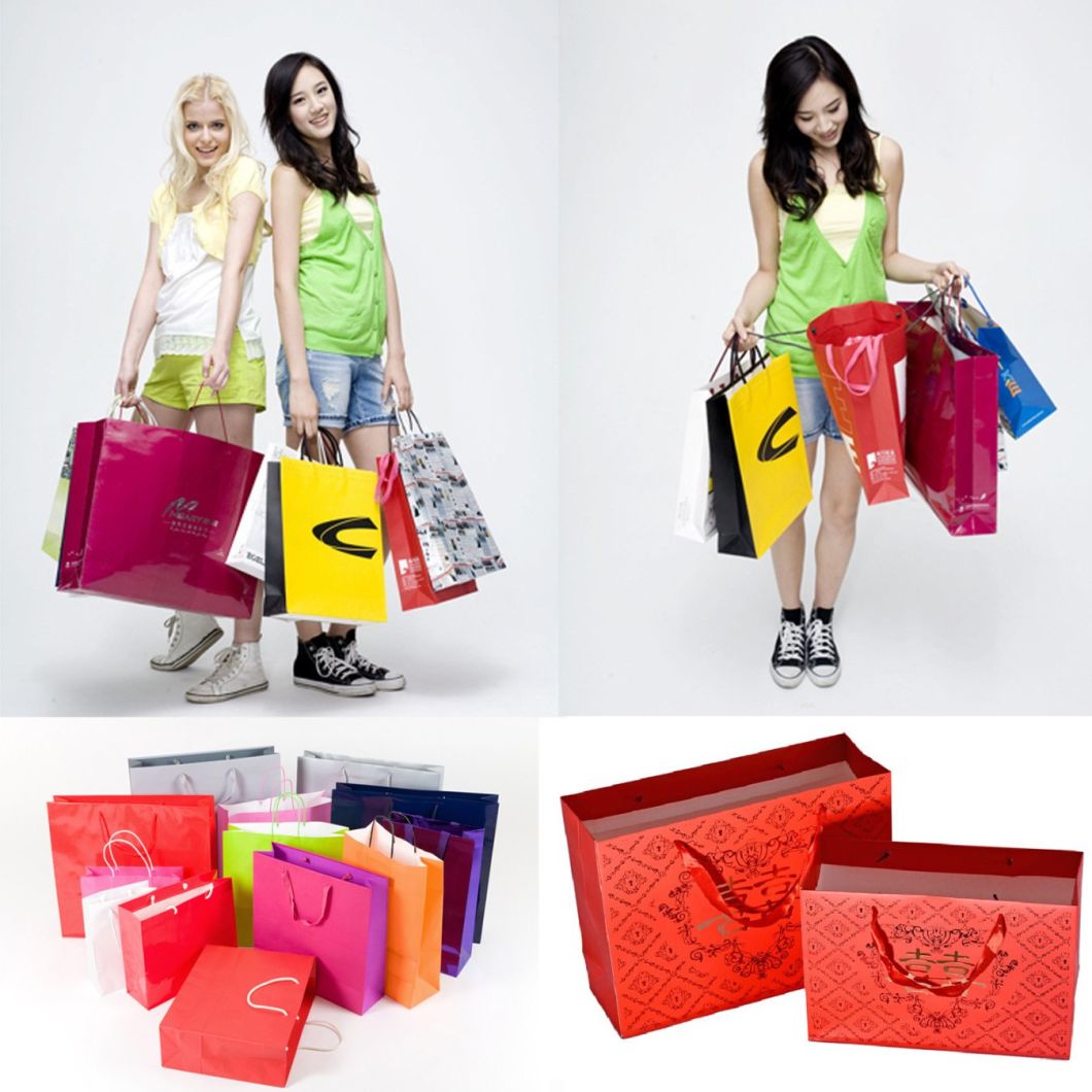 Colourful Low Price Paper Bags for Shopping