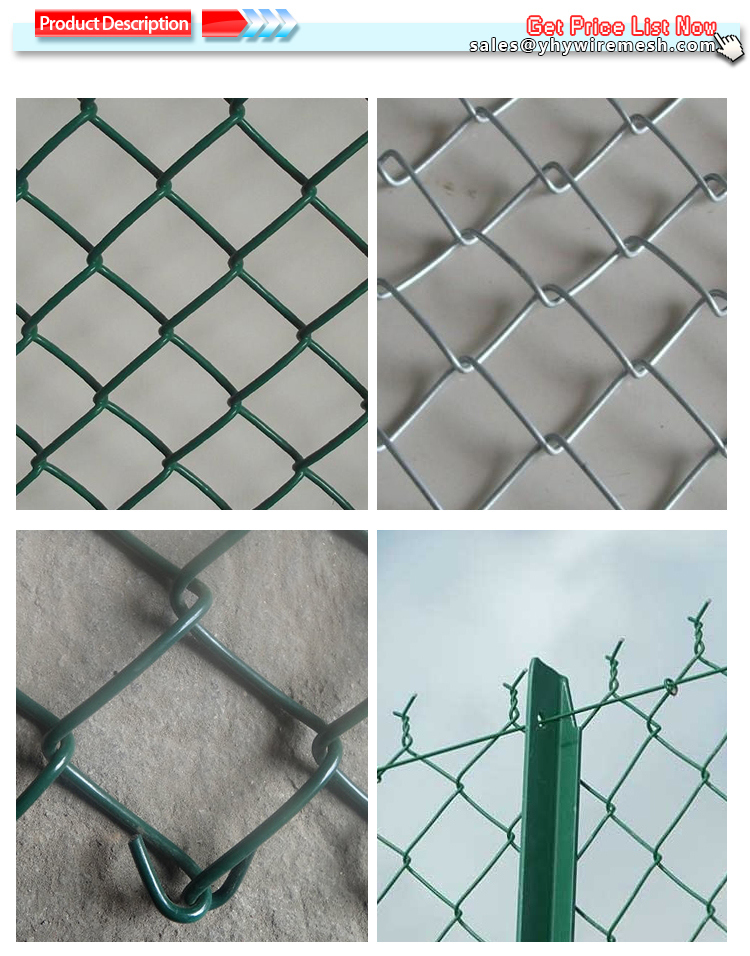 Green PVC Coated 2inch 6FT Chain Link Fence for Sportsground