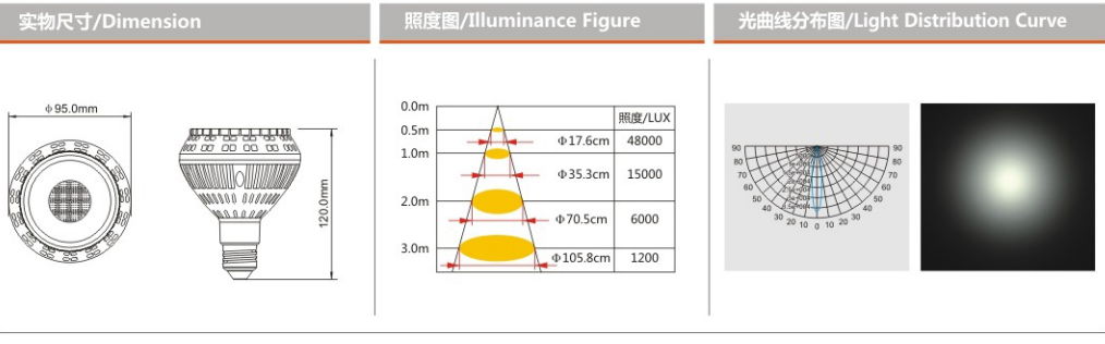 PAR30 COB 33W LED PAR Light