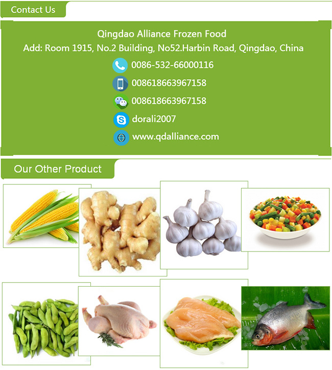 Chinese Fresh Yellow Onion in Meshbag