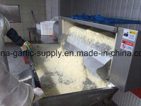 Wholesale IQF Frozen Diced Garlic Price