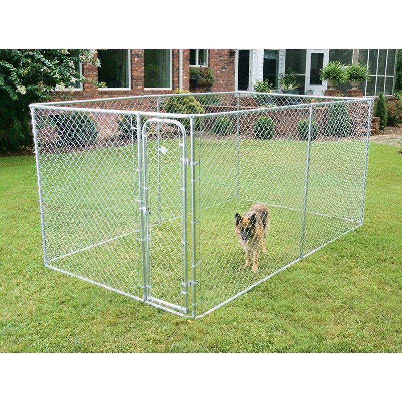 Heavy-Duty Chainlink Dog Kennel 6ftx8ftx4FT