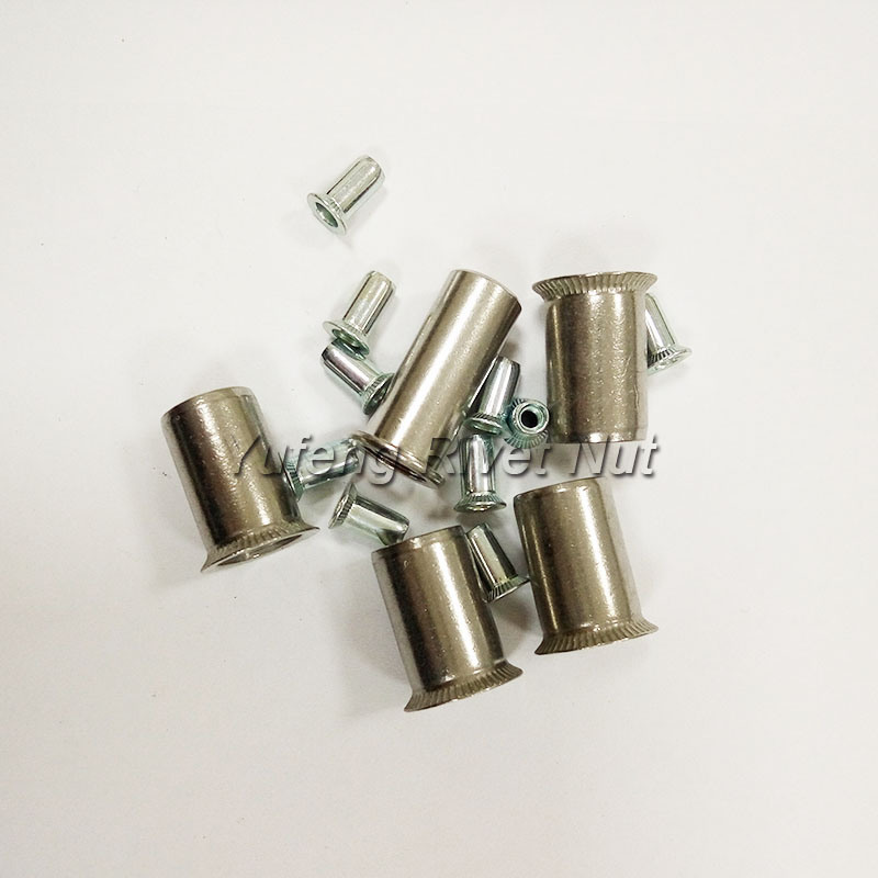 Stainless Steel/Carbon Steel Rivet Nut with Round Head
